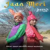 About JAAN MERI DILLO Song